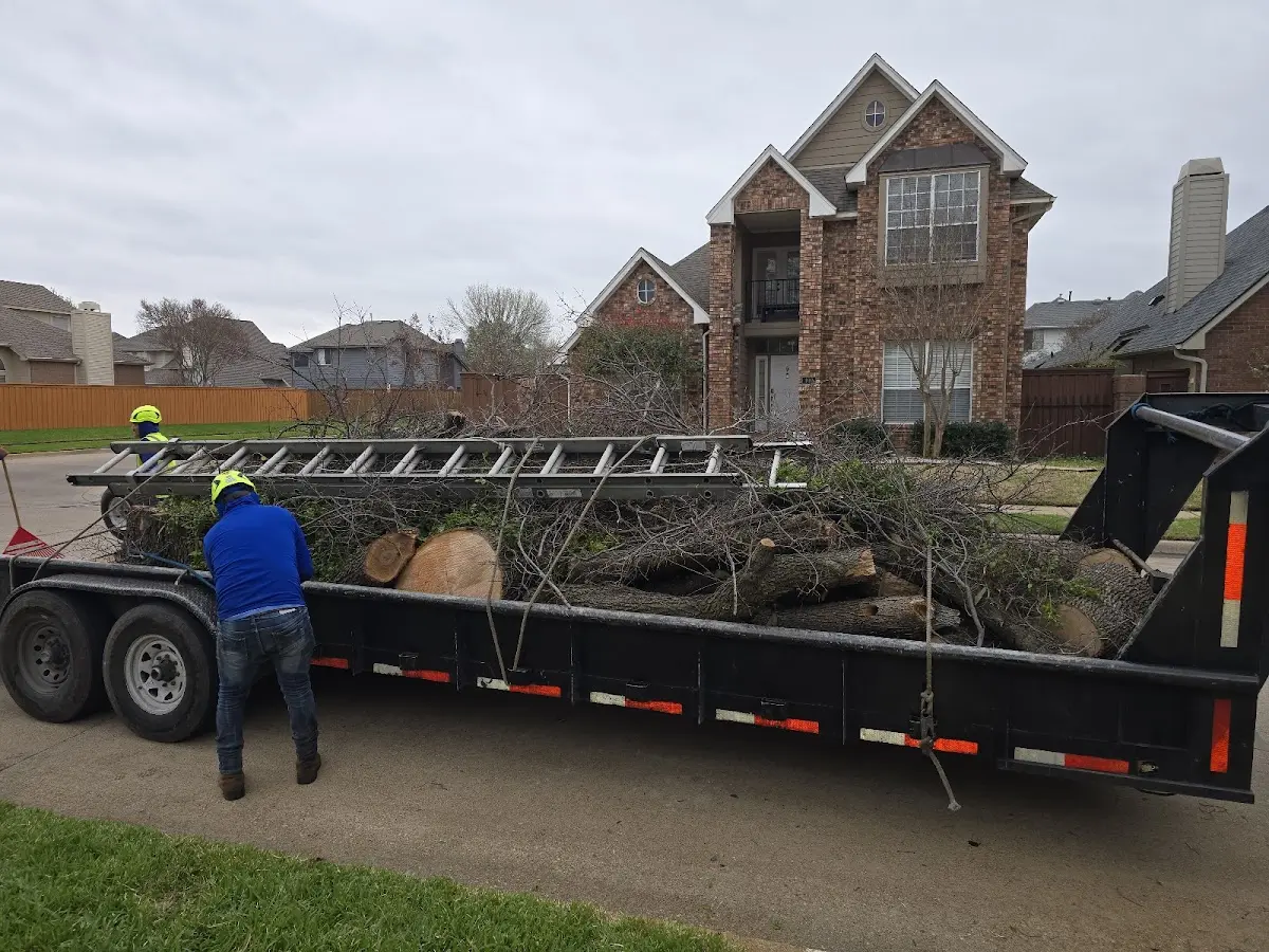 Expert Lot Clearing with proper safety equipment in West Point